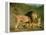 A Lion and a Lioness in a Rocky Valley-Jacques-Laurent Agasse-Framed Premier Image Canvas