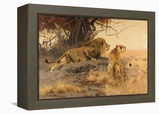 A lion and a lioness in the Savannah, 1912-Wilhelm Kuhnert-Framed Premier Image Canvas