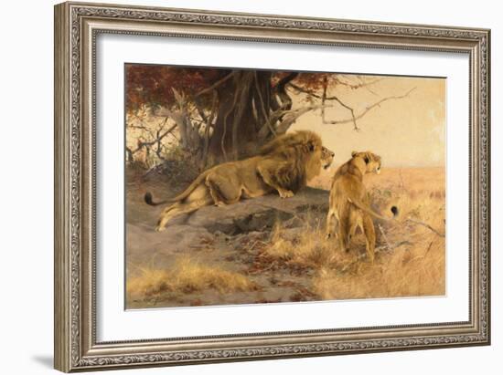 A lion and a lioness in the Savannah, 1912-Wilhelm Kuhnert-Framed Giclee Print