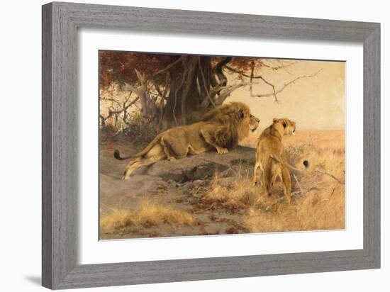 A lion and a lioness in the Savannah, 1912-Wilhelm Kuhnert-Framed Giclee Print