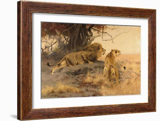 A lion and a lioness in the Savannah, 1912-Wilhelm Kuhnert-Framed Giclee Print