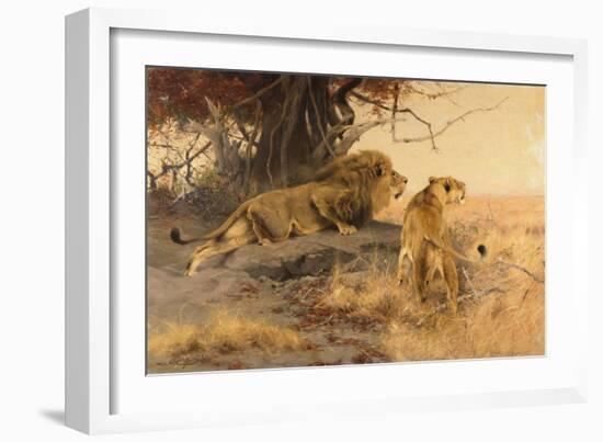 A lion and a lioness in the Savannah, 1912-Wilhelm Kuhnert-Framed Giclee Print