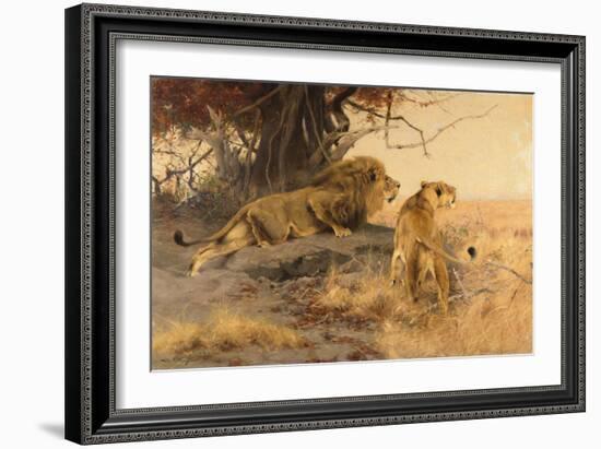 A lion and a lioness in the Savannah, 1912-Wilhelm Kuhnert-Framed Giclee Print