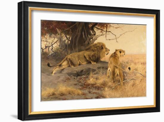 A lion and a lioness in the Savannah, 1912-Wilhelm Kuhnert-Framed Giclee Print