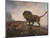 A Lion and a Tiger, 1779 (Enamel on Ceramic Plaque)-George Stubbs-Mounted Giclee Print