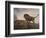A Lion and a Tiger, 1779 (Enamel on Ceramic Plaque)-George Stubbs-Framed Giclee Print