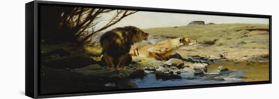 A Lion and Lioness at a Stream-Wilhelm Kuhnert-Framed Premier Image Canvas
