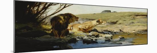 A Lion and Lioness at a Stream-Wilhelm Kuhnert-Mounted Giclee Print
