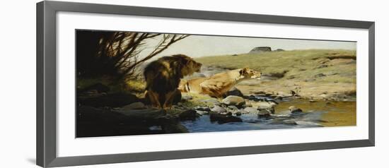 A Lion and Lioness at a Stream-Wilhelm Kuhnert-Framed Giclee Print