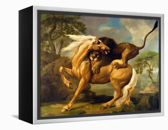 A Lion Attacking a Horse, c.1762-George Stubbs-Framed Premier Image Canvas