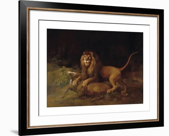 A Lion Attacking a Stag-George Stubbs-Framed Premium Giclee Print