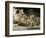 A Lion Cub Peeks into the World While Sitting Next to Its Mother Inka at the Munich Zoo-null-Framed Photographic Print