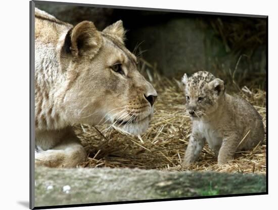 Photographic Print, , large