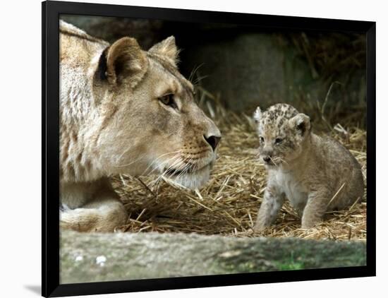 Photographic Print, , large