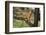 A lion cub sitting on the branch of a tree. Masai Mara National Reserve, Kenya, Africa.-Sergio Pitamitz-Framed Photographic Print