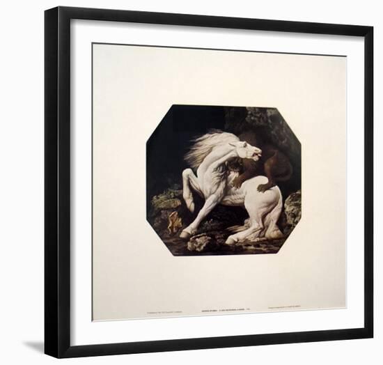 A Lion Devouring a Horse-Geore Stubbs-Framed Art Print