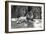 A Lion Lying Down Photographed at Whipsnade Zoo, 1935-Frederick William Bond-Framed Photographic Print