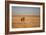 A Lion, Panthera Leo, Looks Out over Grassland at Sunrise-Alex Saberi-Framed Photographic Print