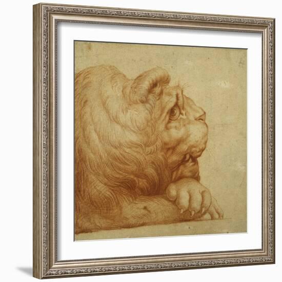 A Lion's Head in Profile-Francesco De Rossi Salviati Cecchino-Framed Giclee Print