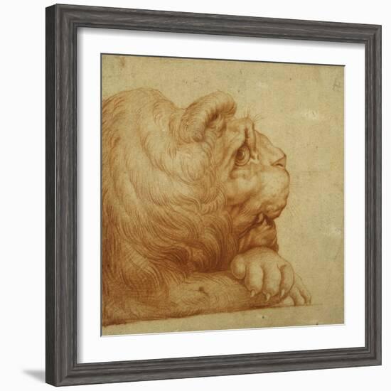 A Lion's Head in Profile-Francesco De Rossi Salviati Cecchino-Framed Giclee Print