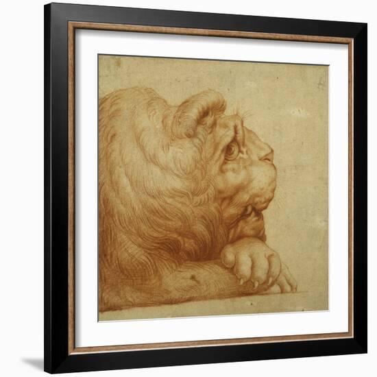 A Lion's Head in Profile-Francesco De Rossi Salviati Cecchino-Framed Giclee Print