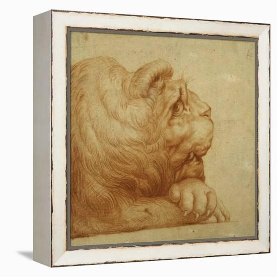 A Lion's Head in Profile-Francesco De Rossi Salviati Cecchino-Framed Premier Image Canvas