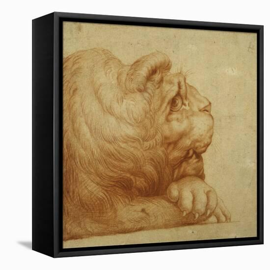 A Lion's Head in Profile-Francesco De Rossi Salviati Cecchino-Framed Premier Image Canvas