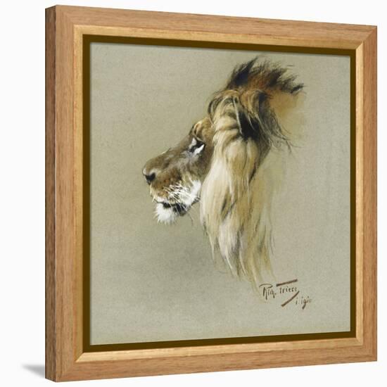 A Lion's Head-Richard Friese-Framed Premier Image Canvas