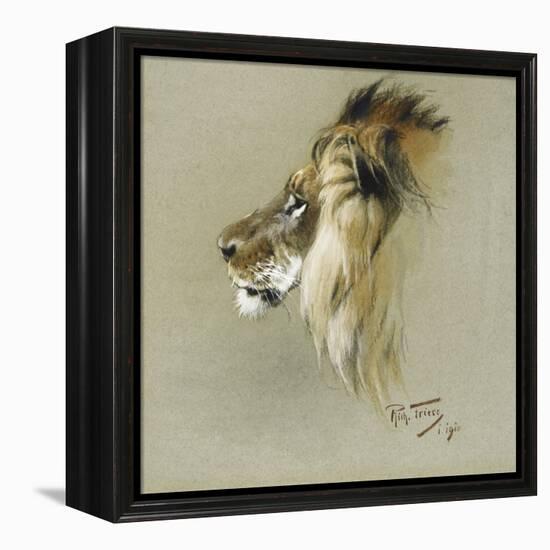 A Lion's Head-Richard Friese-Framed Premier Image Canvas