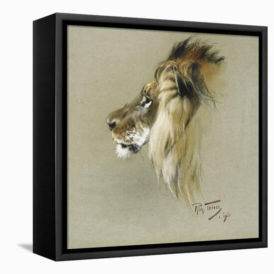 A Lion's Head-Richard Friese-Framed Premier Image Canvas