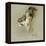 A Lion's Head-Richard Friese-Framed Premier Image Canvas