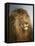 A Lion's Head-Heywood Hardy-Framed Premier Image Canvas