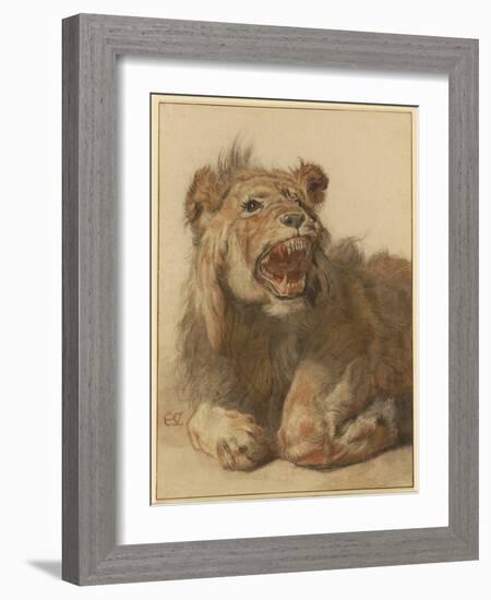 A Lion Snarling, C.1625-33 (Black & Red Chalk with Black and Brown Washes)-Cornelis Saftleven-Framed Giclee Print