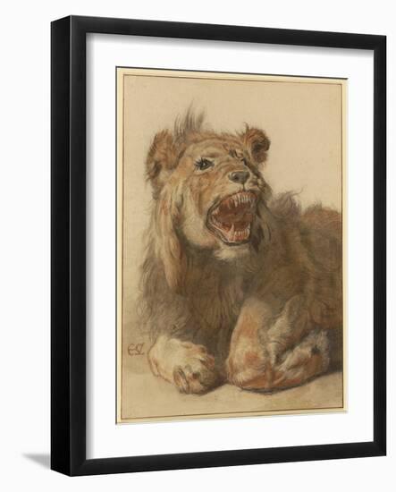 A Lion Snarling, C.1625-33 (Black & Red Chalk with Black and Brown Washes)-Cornelis Saftleven-Framed Giclee Print