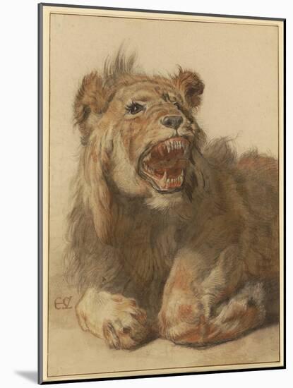 A Lion Snarling, C.1625-33 (Black & Red Chalk with Black and Brown Washes)-Cornelis Saftleven-Mounted Giclee Print