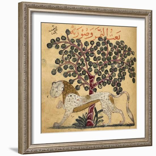 A Lion Standing Beneath a Tree-null-Framed Giclee Print