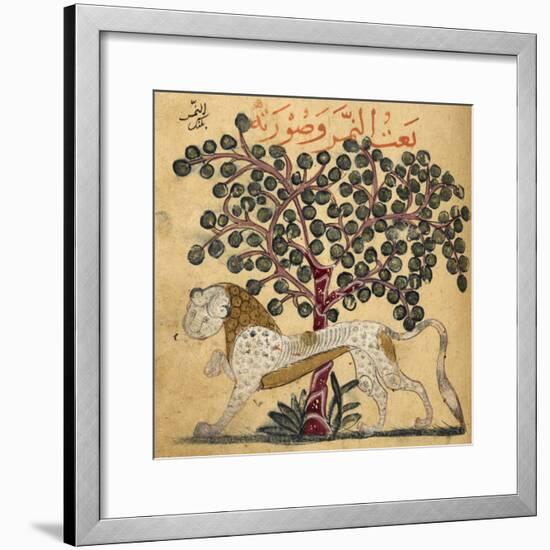 A Lion Standing Beneath a Tree-null-Framed Giclee Print