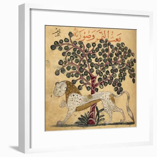 A Lion Standing Beneath a Tree-null-Framed Giclee Print