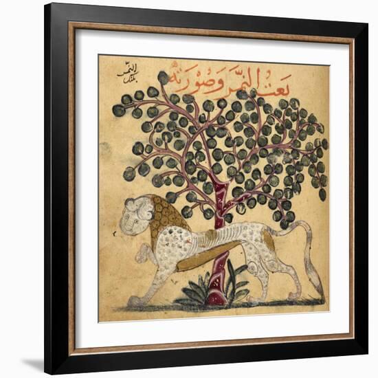 A Lion Standing Beneath a Tree-null-Framed Giclee Print