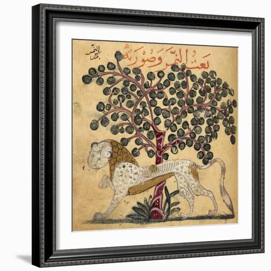 A Lion Standing Beneath a Tree-null-Framed Giclee Print