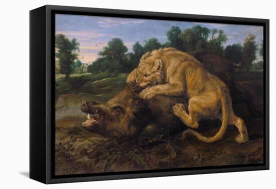 A Lioness Attacking a Wild Boar-Frans Snyders-Framed Premier Image Canvas