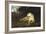 A Lioness, C1867-1910-John Macallan Swan-Framed Giclee Print