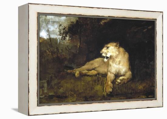 A Lioness, C1867-1910-John Macallan Swan-Framed Premier Image Canvas