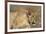 A lioness (Panthera leo) walking, Savuti marsh, Chobe National Park, Botswana, Africa-Sergio Pitamitz-Framed Photographic Print