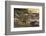 A lioness (Panthera leo) walking with its cubs, Botswana, Africa-Sergio Pitamitz-Framed Photographic Print