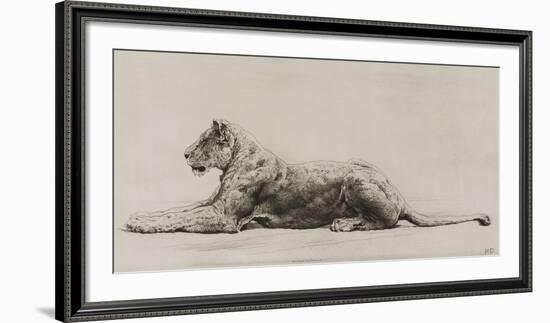 A Lioness-Herbert Dicksee-Framed Art Print