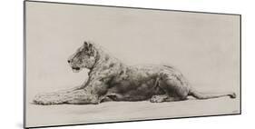 A Lioness-Herbert Dicksee-Mounted Art Print