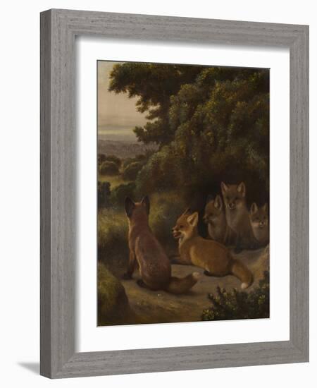 A litter of Fox Cubs by Samuel John Carter-Samuel John Carter-Framed Giclee Print