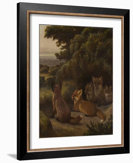 A litter of Fox Cubs by Samuel John Carter-Samuel John Carter-Framed Giclee Print