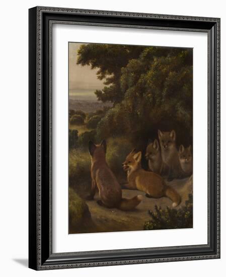 A litter of Fox Cubs by Samuel John Carter-Samuel John Carter-Framed Giclee Print